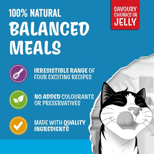 FELIX Original Senior 7+ Fish Selection in Jelly Wet Cat Food    12x85g
