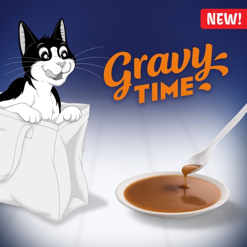 Felix Gravy Time Chicken & Salmon Wet Cat Food 6 X 40G