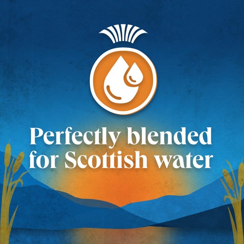 Scottish Blend Original 80 Tea Bags