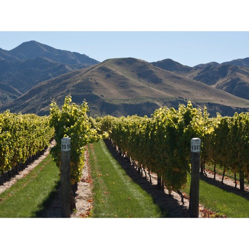 Villa Maria Private Bin Chardonnay 