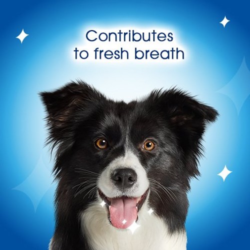 Dentalife Medium Dental Chicken Dog Chews 24 Sticks