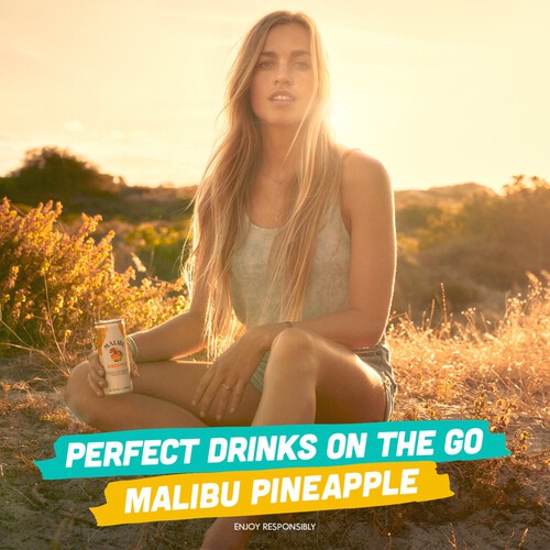 Malibu Coconut Rum & Pineapple Pre-Mixed Can