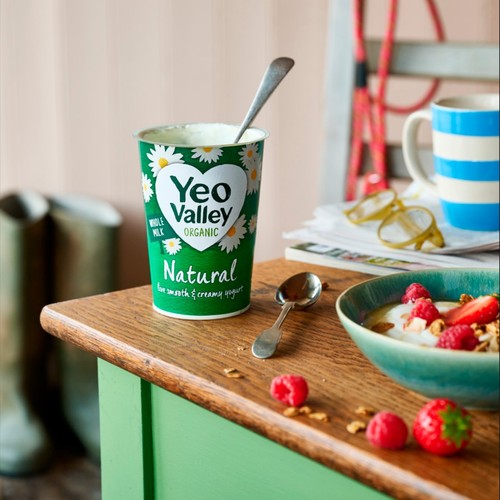 Yeo Valley Organic Natural Live Smooth & Creamy Yogurt 450g