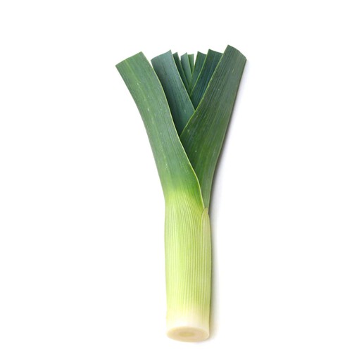 Morrisons Loose Leek