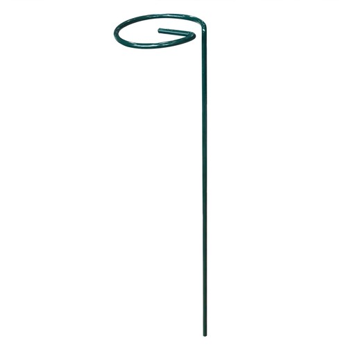 Nutmeg Garden Plant Support Ring