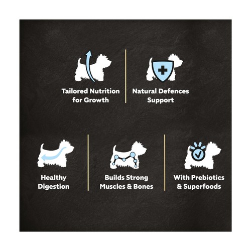 Cesar Dog Complete Dry Puppy With Chicken, Rice And Vegatables 1.4Kg