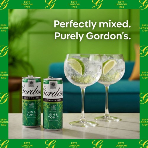 Gordon's London Dry Gin & Tonic 5% vol 250ml