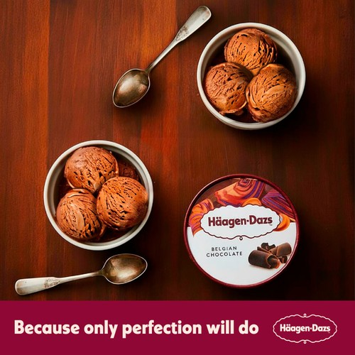 Haagen-Dazs Belgian Chocolate Ice Cream