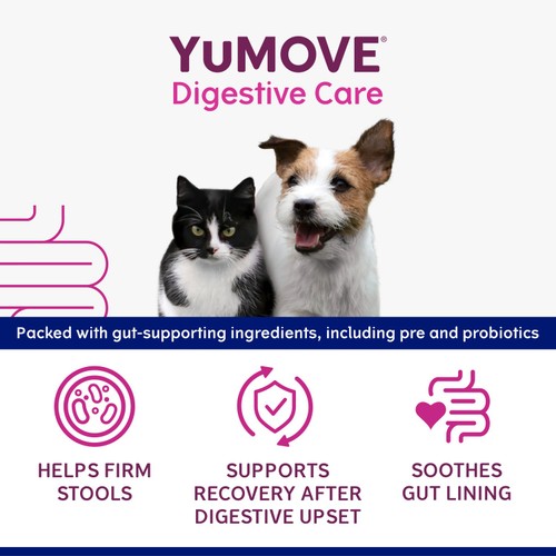 Yumove Digestive Care Rapid Paste For Cats And Dogs 30ml