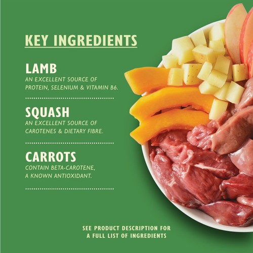 Lily's Kitchen Lamb Hotpot
