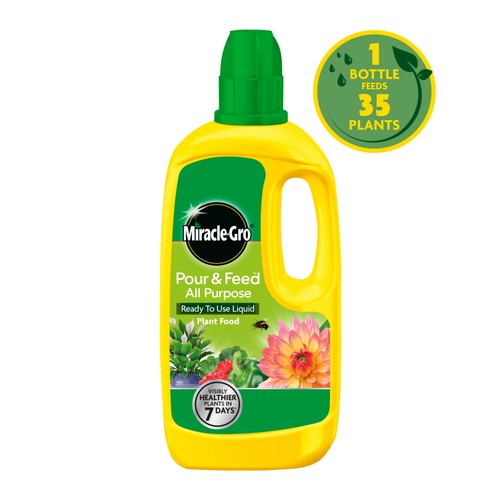 Miracle-Gro Pour & Feed All Purpose Liquid Plant Food   1L