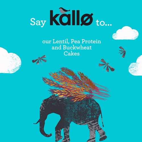 Kallo Protein Packed Lentil Cakes 100g