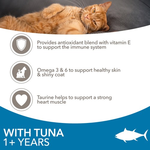 Iams Dry Cat With Tuna 1+ Years 