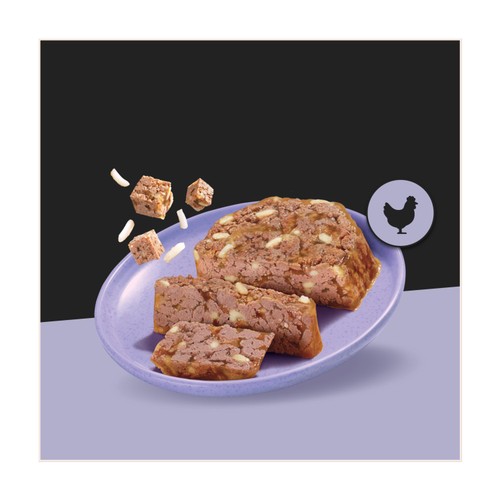 Cesar Senior Wet Dog Food Trays Meat in Delicate Jelly 