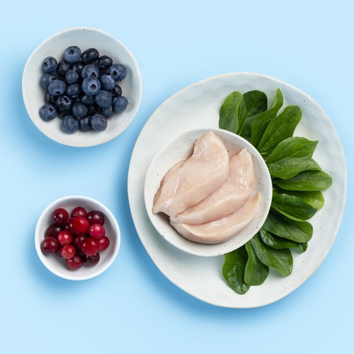 Nood Cat Premium Dinners With Chicken & Superfoods In Gravy 8x85g