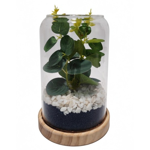 Home Style Eucalyptus In Glass Jar