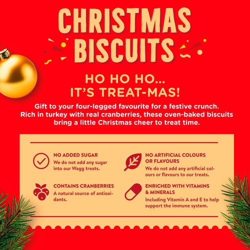 Wagg Christmas Biscuits Treats Box 450g