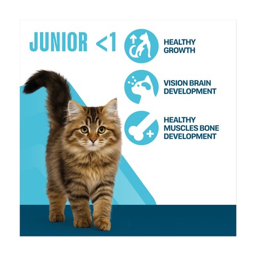 Perfect Fit Cat Complete Dry Junior 1 Chicken 750G
