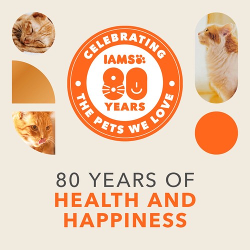 Iams Delights Senior 7+ Cat Land & Sea Collection Pouches In Jelly