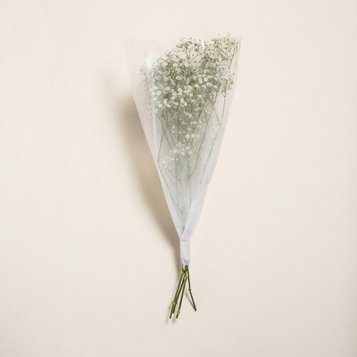 Morrisons Gypsophila Flowers Bouquet