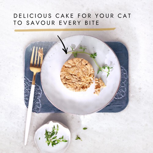 Gourmet Gold Savoury Cake Salmon Wet Cat Food