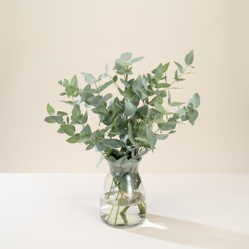 Morrisons mono foliage flowers bouquet