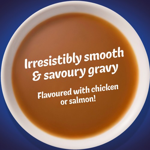 Felix Gravy Time Chicken & Salmon Wet Cat Food 6 X 40G