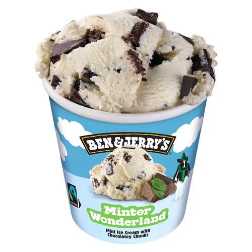 Ben & Jerry's Minter Wonderland Ice Cream Tub 