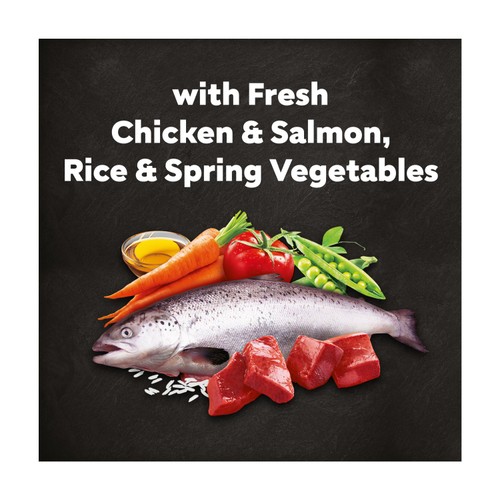 Cesar Adult Dog Food Complete Dry With Chicken, Salmon And Vegetables 1.4kg