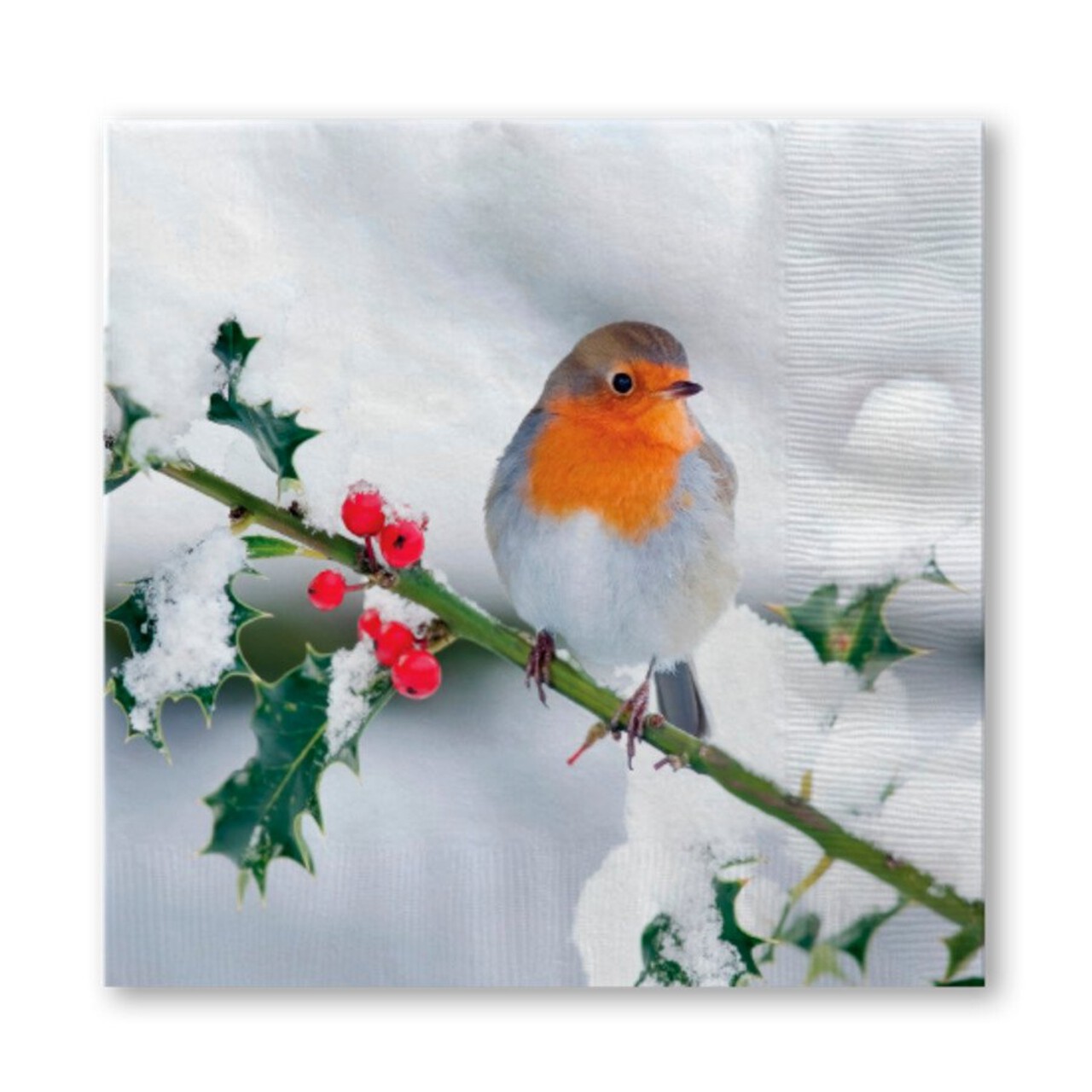 Nutmeg Home Photographic Robin Napkins Morrisons Online Groceries