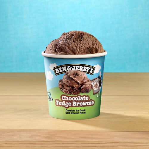 Ben & Jerry's Chocolate Fudge Brownie Ice Cream Tub 465ml