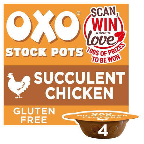 Oxo Stock Pot Succulent Chicken