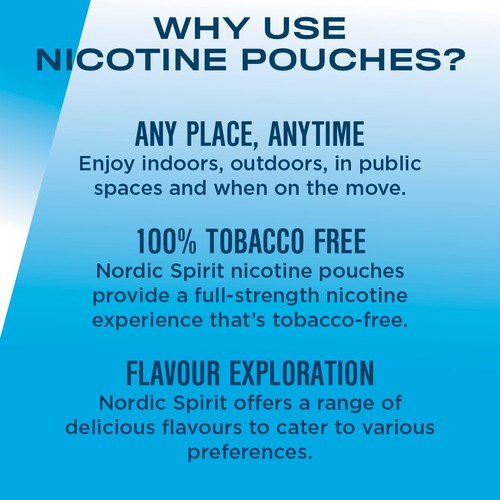 Nordic Spirit Mint Regular 6mg Nicotine Pouches