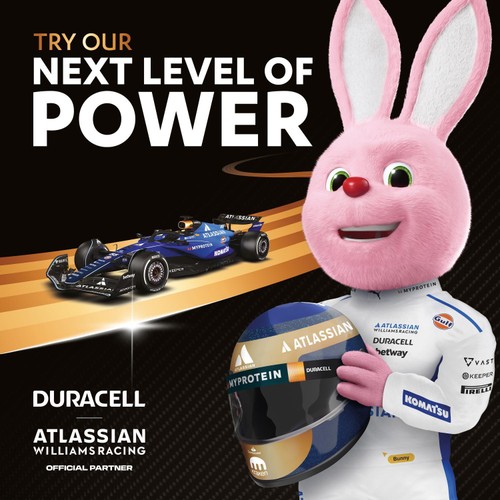 Duracell Plus PBA AA Batteries 