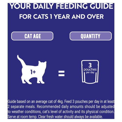 Purina One Mini Fillets Mixed Selection In Gravy Wet Cat Food 