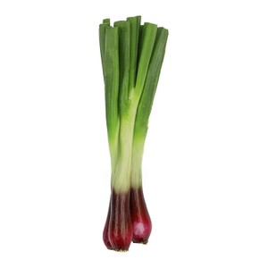 Feilds,Morris&Verdin Standard
