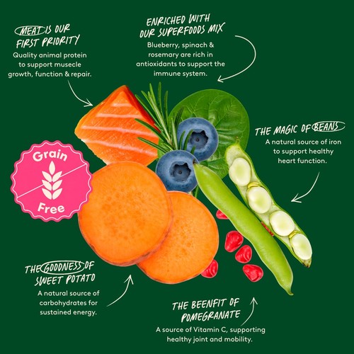 Harringtons Grain Free Superfoods Dry Dog Food In Salmon