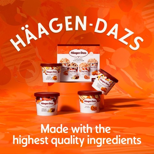 Haagen-Dazs Caramel Collection Minicup Ice Creams