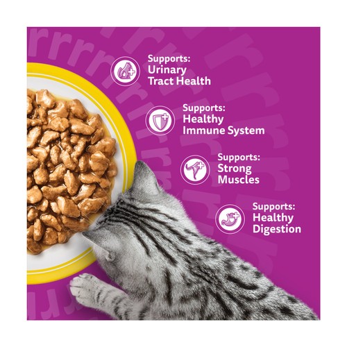 Whiskas Senior 7+ Poultry Feasts Wet Cat Food Pouches in Gravy 12 x 85g