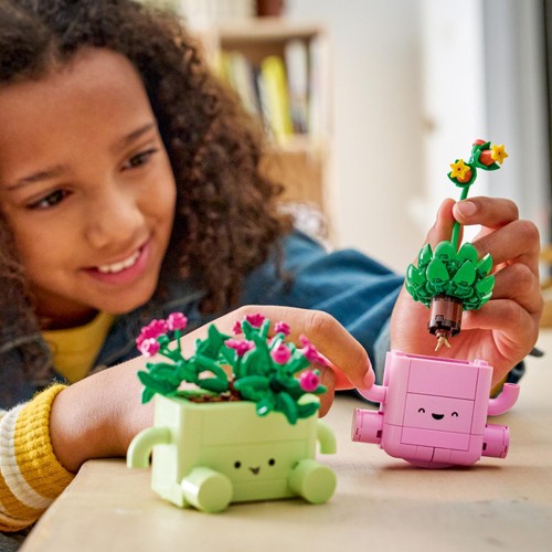 Lego Botanicals Rocking Plants 11506