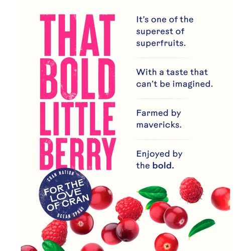 Ocean Spray Cranberry & Raspberry Juice Drink
