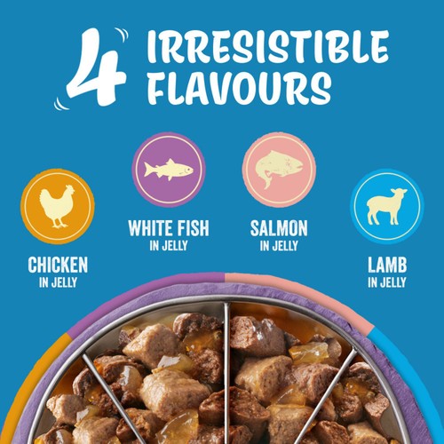 FELIX Original Kitten Mixed Selection in Jelly Wet Cat Food 40x85g