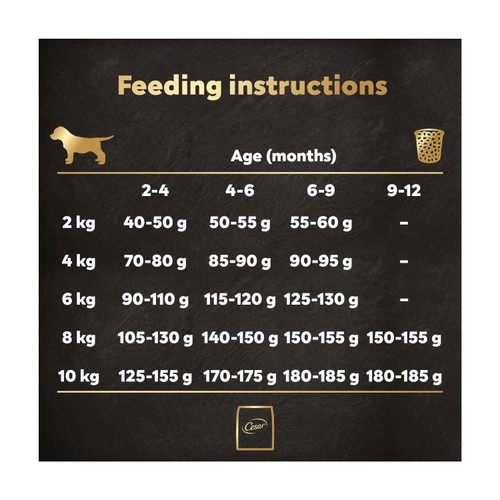Cesar Dog Complete Dry Puppy With Chicken, Rice And Vegatables 1.4Kg