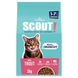 Morrisons Scout Dry Adult Cat Food With Trout 2Kg