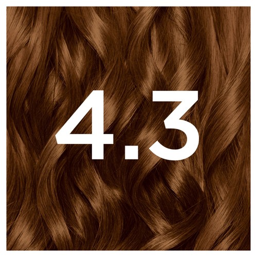 Garnier Nutrisse Dark Golden Brown 4.3 Permanent Hair Dye