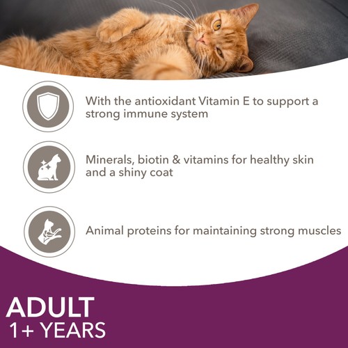 Iams Delights Adult 1+ Cat Land & Sea Collection In Jelly