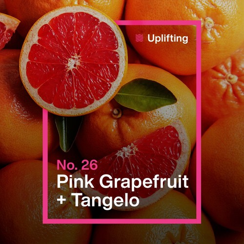 INEOS 2in1 Washing Up Liquid Pink Grapefruit + Tangelo