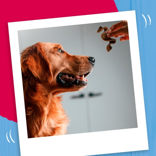 Bakers Sizzlers Dog Treat Bacon