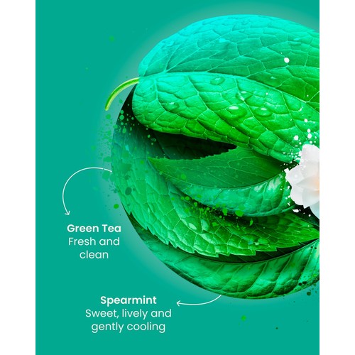 Good Earth Green Tea Moroccan Mint 15 TeaBags