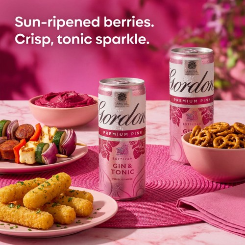 Gordon's Premium Pink Gin & Tonic 5% vol  Ready to Drink Premix Can